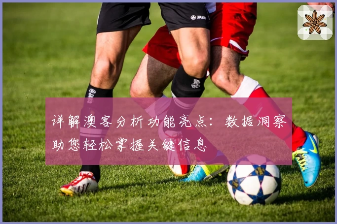 详解澳客分析功能亮点：数据洞察助您轻松掌握关键信息